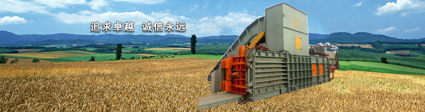 山东临清伟林液压机械制造有限公司