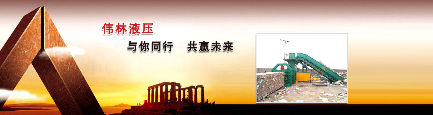 山东临清伟林液压机械制造有限公司