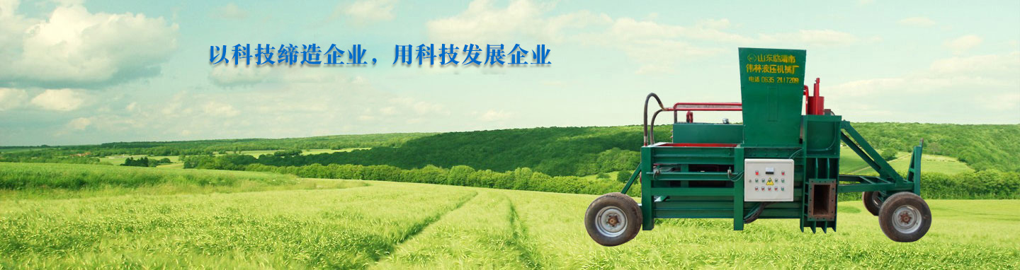 山东临清伟林液压机械制造有限公司